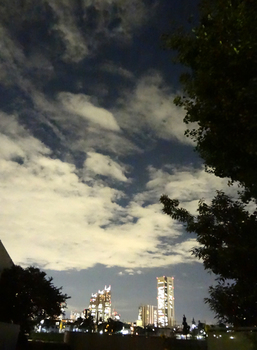 10.2*新宿夜景*55.25.jpg