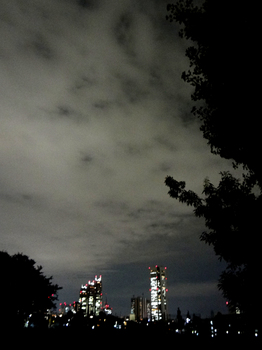10.3*新宿夜景*51.2.jpg