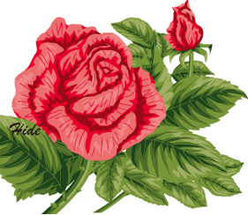 11.12*赤い薔薇*67-200.9.jpg