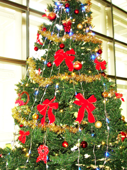 12.5*大きなクリスマスツリーが*9-240.5.jpg
