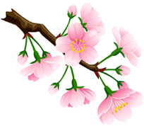 3.18*桜*48-106.4.jpg