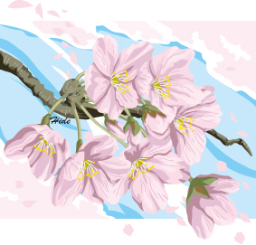 3.23*桜*72-224.7.jpg