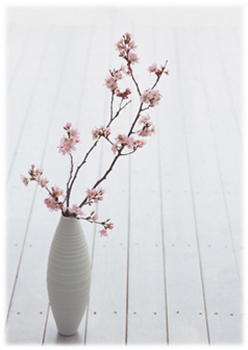 4.1*花瓶の桜*75.jpg