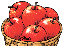 5.16*真っ赤なリンゴ*82-142.5.jpg