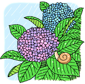 5.24*紫陽花とカタツムリ／再*204.jpg