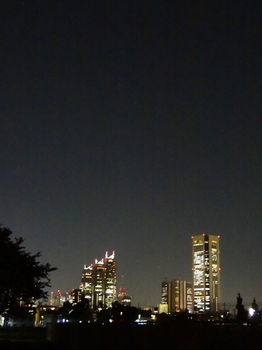 9.27*新宿夜景*51.2.jpg