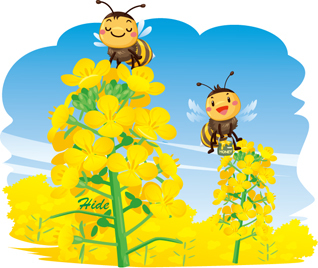 ミツバチと菜の花*35-249.7.jpg