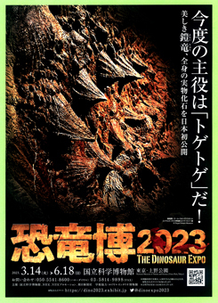 恐竜博ー28−244.jpg
