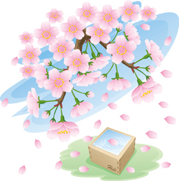 桜と升酒*50-200.3.jpg