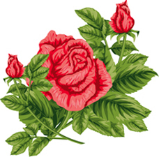 真っ赤なバラ*77-150.3.jpg