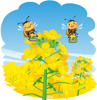 菜の花とミツバチ*35-407.5.jpg
